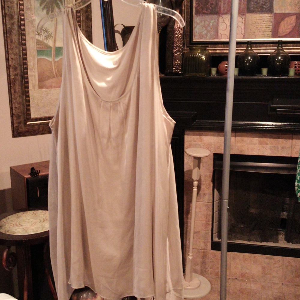 FINAL PRICE Soft Surroundings Taupe Sheer Silk Blouse Size 3X - Picture 6 of 6